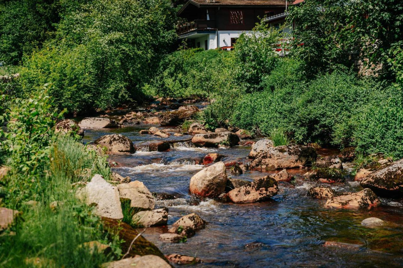 Hotel Villa Bodeblick Schierke Luaran gambar